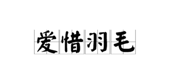 7511620118782464.png image.png